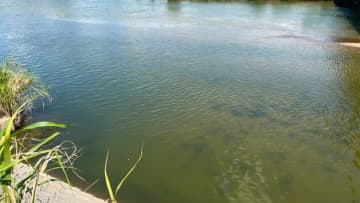 水質回復傾向！ 見えバスも増加してきたときのオススメルアーは？ 「今の時期はストレートワームの…」