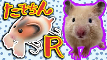 可愛くて使えない⁉世にも珍しいハムスター型ルアーでブラックバスが釣れる！