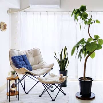観葉植物×照明で雰囲気UP！ニトリの実例に学ぶ一人暮らしインテリア術