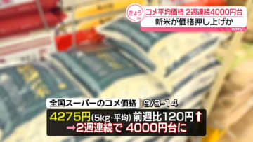 スーパーのコメ平均価格、2週連続4000円台　新米が価格押し上げか