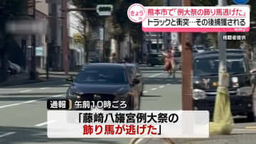 例大祭を前に飾り馬が逃走…トラックと衝突、その後捕獲　熊本市