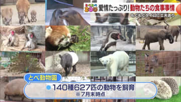 キリンは１日４８０キロ！ゾウは２５０キロ！驚きの「もぐもぐタイム」で見る愛媛県立とべ動物園の舞台裏【愛媛発】