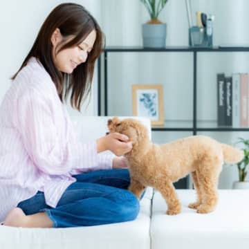 犬の飼い主が知っておくべき『理想と現実』３選　ギャップに苦しめられる可能性も…考えられる問題とは？