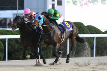 タガノビューティーが登録抹消…種牡馬入り