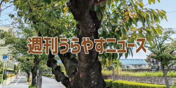 【浦安の情報あれこれ】週刊うらやすニュース 2025/9/13～2025/9/19