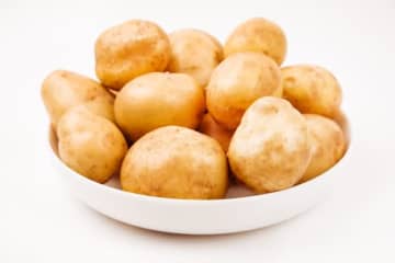 【ジャガイモ】毒があるのは芽だけじゃないって知ってた？ 収穫・保管で気をつけるべき5つのポイント（回顧記事）