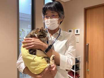 猫の引き取り、2年で5倍　川崎の動物愛護センター