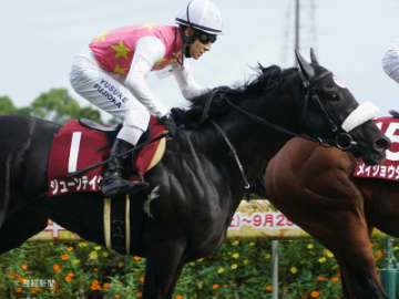 【神戸新聞杯】人気馬でも３着が最高着順！買ってはいけない馬券とは！？