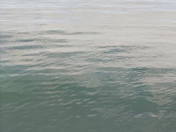 横浜のシーパラ近くの海上で遺体見つかる