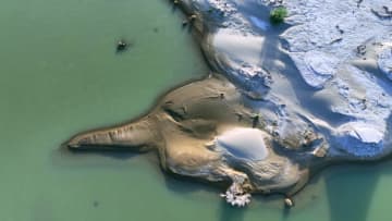 生態管理送水で「水を飲むゾウ」の奇観出現　中国新疆ウイグル自治区