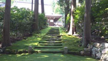 幻想的な光景がSNSで人気　木漏れ日が照らす青々としたコケ　小浜藩主の菩提寺「長英寺」