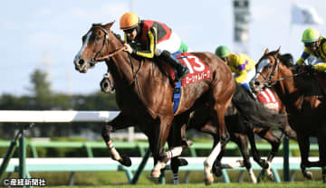 【オールカマー】Ｇ Ⅰ 以外の前走長距離出走馬は連対なし！ 過去10年の傾向から見える買えない馬とは！？