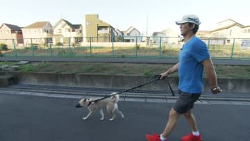 長嶋一茂が元野犬2匹とお散歩で交流！人間を恐れる心を解きほぐした方法はドッグトレーナーも使うという“知らんぷり作戦”