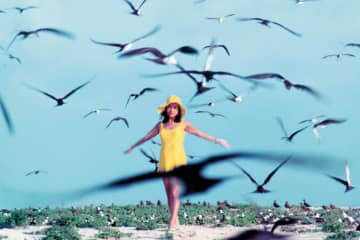 ワンピースで世界を旅した【兼高かおる】とは？その人生を振り返る感動のストーリー