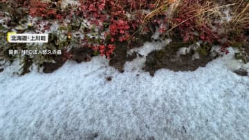 北海道からは“初雪”の便りも…東京都心は3日ぶり30℃超　列島各地の表情は