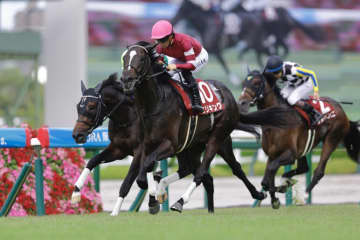 【神戸新聞杯】エリキングが復活V…2着にショウヘイ