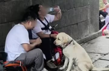 視覚障害者夫婦の盲導犬の扱いが物議、利用が一時停止される―中国