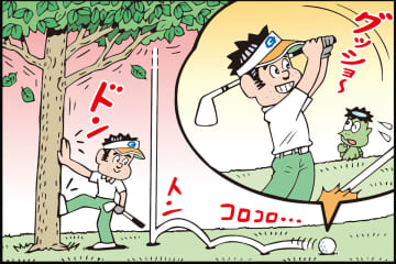 木を揺すって落としたボールをそのまま打った…。この処置はアリ？／ルールQ&A