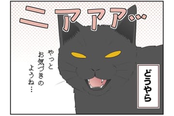【マンガ・老猫日誌 ＃16】ウロウロ動き回る老猫…18歳の元保護猫・桃姐