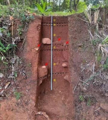 海南島で1万4000年前の旧石器時代遺跡30カ所を発見―中国