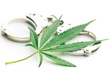 大麻所持で人気俳優が逮捕！ 「大麻取締法違反」ではなく「麻薬取締法違反」なのはナゼ？