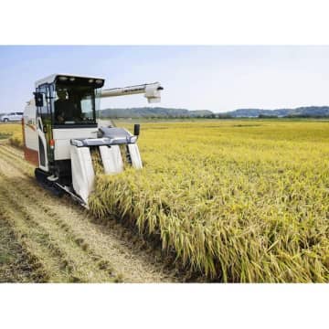 概算金が前年比で3～7割高の見通しなのに…収入増のコメ生産者が喜べない事情