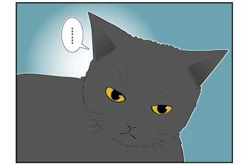 【マンガ・老猫日誌＃17】老猫、安全を確保する？ 18歳の元保護猫・桃姐