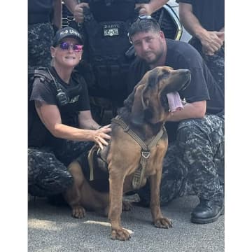 崖転落の少年と救助犬が感動の再会！ 米ミズーリ州で起きた奇跡的な救出劇が話題