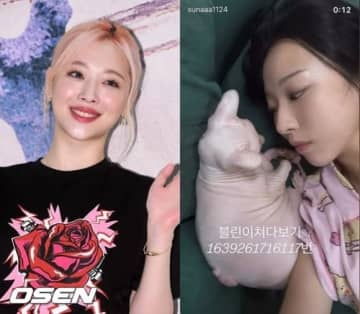 ソルリさんの愛猫との近況ショットも…キム・ソナ、夏の思い出を公開
