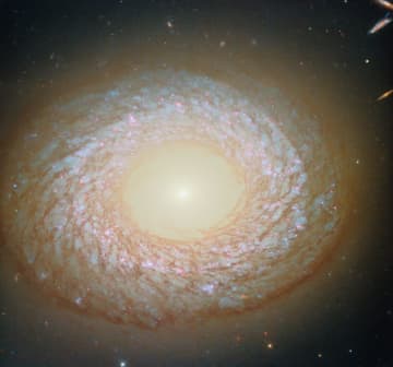 ハッブル宇宙望遠鏡が観測した“ふわっふわ”な姿の銀河「NGC 2775」