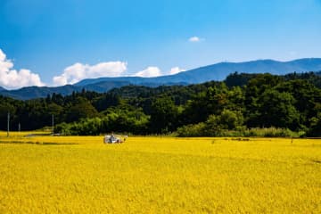 タムラナイト Vol.3「新米を食べながら、農のある暮らしを考える会」