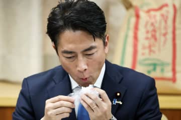《“進次郎効果”が出るのは来年か》2025年の気になる“コメ事情”　新米と古米の価格は