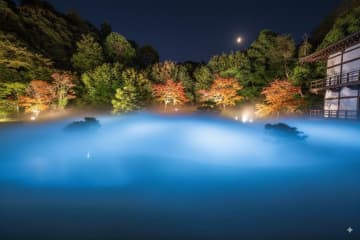 鎌倉・建長寺“脳がととのう”夜間アートイベント、雲海に包まれる紅葉ライトアップ＆サウンド瞑想体験