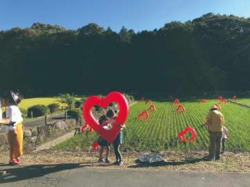 【青葉台】アートとクラフトの芸術祭