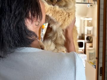 “顔面直撃”を食らいながら、猫を抱きかかえる飼い主　ビジュアルに「全力拒否！」「がっつりじゃん」