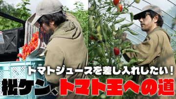 松山ケンイチ、いちから育てたトマトを収穫　DIYにこだわる姿に視聴者「最高にカッコいい」