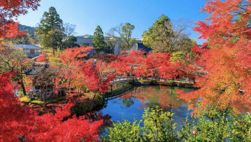 【京都・永観堂】実は「紅葉の名所」だけじゃない？口コミでわかった、一度見たら忘れない『みかえり阿弥陀』の不思議な姿とは！？