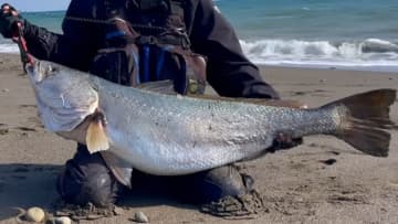 「キタ！キタ！」「ヤバいなコレ。」宮崎県の砂浜でユーチューバーが“幻の巨大魚”捕獲。しかし…。「素直に喜べないところもある…」
