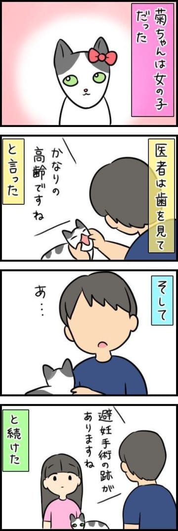 捨てられたのか、それとも迷子だったのか…高齢猫に再び幸せを願う【連載】もふもふスコたん#357