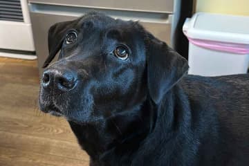 「飼い主に似るって本当よね」　そっくりすぎる愛犬とのツーショットに驚きの声　「シンクロ率高すぎ」