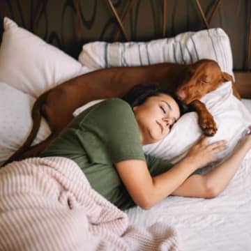 愛犬が『夢に登場』するのはなぜ？5つのパターン別で異なる心理や暗示について解説