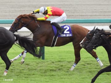 【スプリンターズＳ】夏場を休養に充てた実力馬からも目が離せない！４勝挙げている主力となるステップは？ステップレースから見る過去10年の傾向