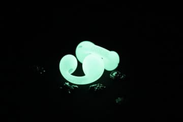 ambie、暗闇で光る着せ替えソックス「Ghost」復刻販売