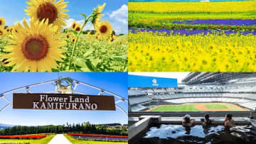 【2025】北海道のおすすめひまわり畑10選！