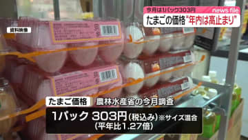 たまご価格、年内は高止まりが続く見通し　今月は平年1.27倍の1パック303円