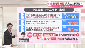 罰金10万円も…「バカ」の代償は　「これをやると侮辱罪」事例公開【#みんなのギモン】