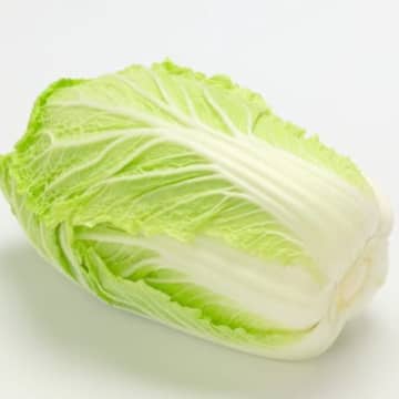 猫は白菜を食べても大丈夫？含まれる栄養素と健康効果、量の目安から調理法まで解説