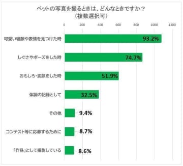 犬飼いさん1,148人に聞いた！3割以上の方が毎日愛犬を撮影！！