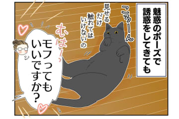 【マンガ・老猫日誌＃20】猫も歳をとると丸くなる？ 18歳の元保護猫・桃姐