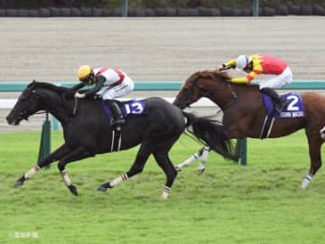 【スプリンターズＳ】複勝率40％！圧倒的に内枠が有利だが①人気の扱いには要注意なワケとは！？枠順で見る攻略POINT